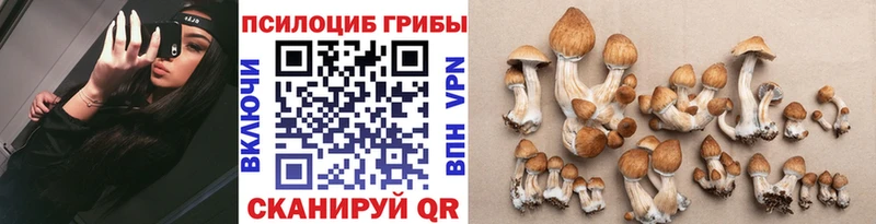 Галлюциногенные грибы прущие грибы  Геленджик 